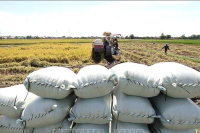 Indonesia phát triển kinh tế nông thôn thông qua hợp tác xã làng Đỏ - Trắng