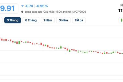Gilimex đối mặt cú sốc mới sau phán quyết bất lợi từ vụ kiện với Amazon