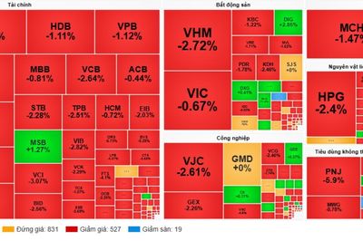 Chứng khoán 'đỏ lửa' đầu tuần: VN-Index bốc hơi gần 28 điểm, điều gì đang xảy ra?