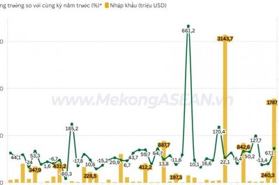 Nhập khẩu từ Mỹ tăng tới 26%, kim ngạch hai chiều hơn 97 tỷ USD
