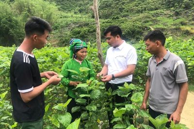 Giữ phên giậu Tổ quốc - 'Cuộc chiến' trong kỷ nguyên số - Bài 3