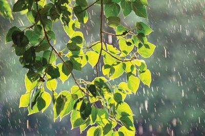 Thời tiết 13/7: Cảnh báo mưa lớn, lốc sét tại 3 miền
