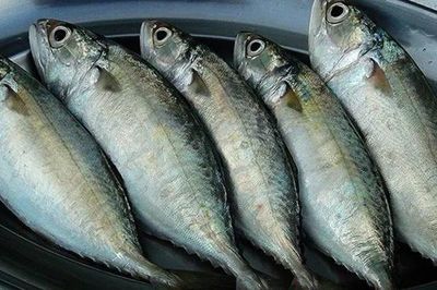 3 loại cá nhiều thịt, ít xương đang vào mùa ngon nhất, đi chợ thấy đừng bỏ lỡ