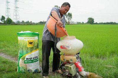 Khi đất được 'hồi sinh' thì cây lúa tự khắc khỏe mạnh