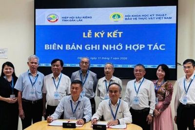 Đắk Lắk thúc đẩy nghiên cứu, chuyển giao công nghệ ngành sầu riêng phát triển bền vững