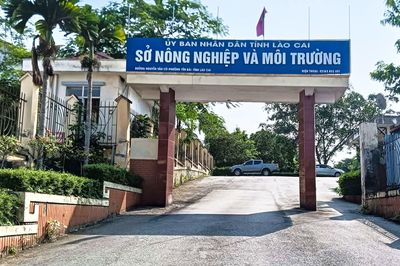 Phát hiện cán bộ Sở Nông nghiệp và Môi trường Lào Cai tử vong tại trụ sở