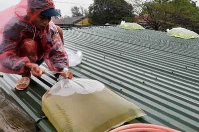Phong thủy mùa mưa bão: 4 việc cần làm để nhà vững, người an trong thời tiết khắc nghiệt