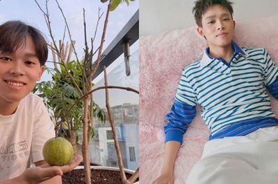 Tin vui của Hồ Văn Cường