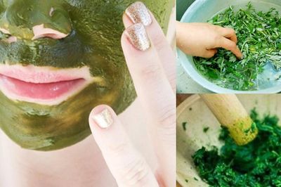 Cách trị nám bằng ngải cứu và những lưu ý khi sử dụng