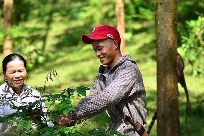Lợi ích kép của mô hình trồng dược liệu tạo tín chỉ carbon