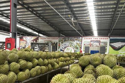Đơn giản hóa cấp mã số vùng trồng: Tạo thuận lợi cho xuất khẩu nông sản