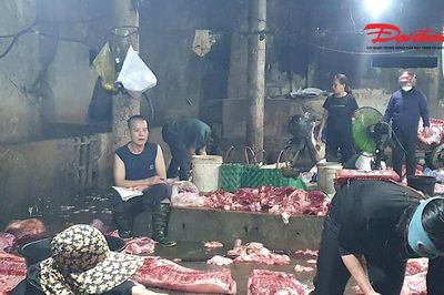 UBND tỉnh Hà Tĩnh chỉ đạo xử lý vụ 'lao động giết mổ nửa năm không có lương'