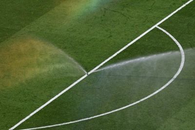 Bán cỏ sân World Cup, FIFA bị chê tận thu