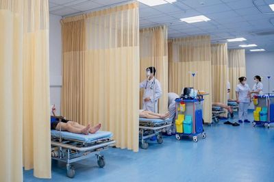 Kịp thời xử trí 8 ca bị ong vò vẽ đốt, bác sĩ khuyến cáo không chủ quan