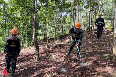 Mở lối tìm kiếm, quy tập hài cốt liệt sĩ