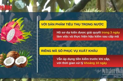 [Video] Tháo gỡ vướng mắc trong cấp mã số vùng trồng, cơ sở đóng gói