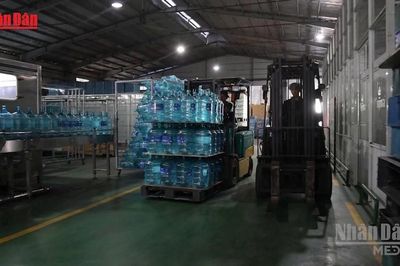 [Video] Hơn 325.000 doanh nghiệp bỏ địa chỉ đăng ký bị yêu cầu thu hồi giấy phép