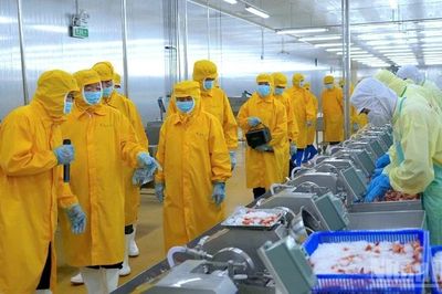 Phó Thủ tướng Hồ Quốc Dũng khảo sát xưởng chế biến tôm và tình hình sạt lở tại Cà Mau