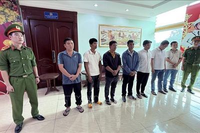 Khởi tố 8 đối tượng đưa, nhận hối lộ trong kiểm dịch động vật