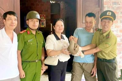 Phát hiện động vật quý hiếm 'lạc' vào vườn cao su ở Huế