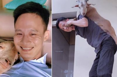 9X Hải Phòng nuôi thú cưng có sừng, chủ đi xa liền lên sân thượng đợi
