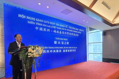 Gia Lai mời gọi DN Trung Quốc đầu tư công nghệ cao, logistics, cảng biển