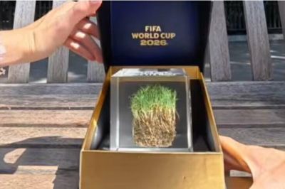 FIFA bán mảnh cỏ sân chung kết World Cup 2026 giá tới 78 triệu đồng