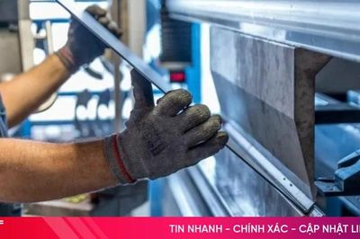 Megaline - nhà cung ứng giải pháp bảo hộ bàn tay chuyên sâu cho dây chuyền sản xuất linh kiện điện tử