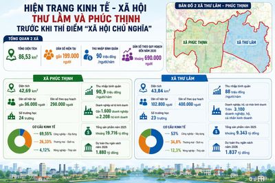 Hiện trạng kinh tế - xã hội Thư Lâm và Phúc Thịnh trước khi thí điểm 'xã hội chủ nghĩa'
