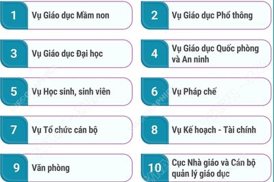 Cơ cấu tổ chức của Bộ Giáo dục và Đào tạo từ ngày 12/7/2026