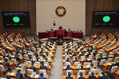 Quốc hội Hàn Quốc điều trần về sai sót bầu cử, bất đồng quanh kiểm phiếu lại