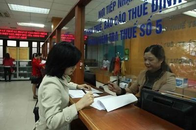 TPHCM triển khai chiến dịch làm sạch mã số thuế