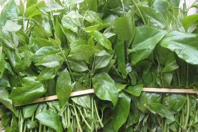 Những loại rau chỉ có theo mùa, bỏ lỡ phải đợi cả năm