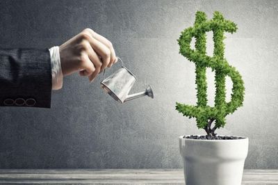 Có 200 triệu đồng nhàn rỗi, cô gái 27 tuổi tìm cách để tiền sinh lời