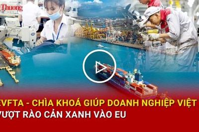 EVFTA: Chìa khóa giúp doanh nghiệp Việt vượt rào cản xanh vào EU