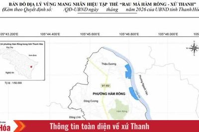 Sử dụng địa danh 'Hàm Rồng - Xứ Thanh' đăng ký nhãn hiệu tập thể 'Rau má Hàm Rồng - Xứ Thanh'