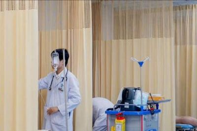 Cấp cứu 8 người bị ong vò vẽ đốt