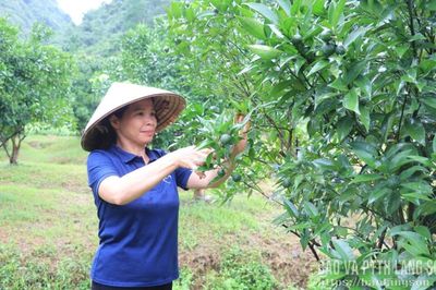 Vươn lên nhờ vốn vay ưu đãi