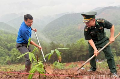 Tre xanh nơi biên giới