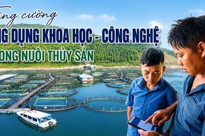Tăng cường ứng dụng khoa học - công nghệ trong nuôi thủy sản