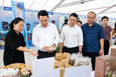 Chủ tịch UBND tỉnh Nguyễn Tuấn Anh kiểm tra công tác chuẩn bị Không gian trưng bày xúc tiến đầu tư, thương mại và du lịch tỉnh Lào Cai