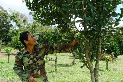 Đa dạng cây trồng để chia sẻ rủi ro về giá