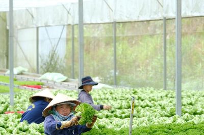 Nâng chuẩn chất lượng, mở rộng đầu ra cho nông sản Lâm Đồng