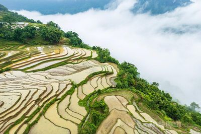 Kiệt tác giữa ngàn mây