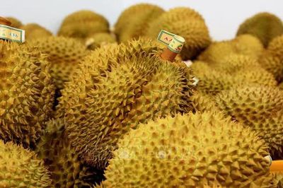 Mã vùng trồng nông sản gắn với vị trí thửa đất