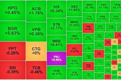 Cổ phiếu dầu khí bứt phá, VN-Index trở lại sắc xanh