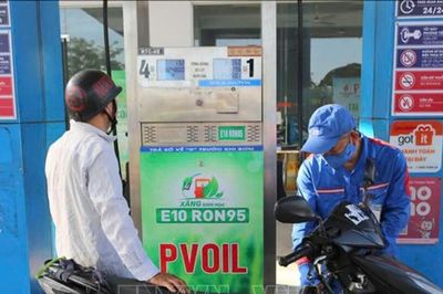 Xây dựng hệ sinh thái phát triển nhiên liệu sinh học