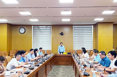 Đơn giản hóa cấp mã số vùng trồng, tăng hậu kiểm