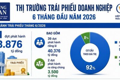 Thị trường trái phiếu 6 tháng: Ngân hàng và bất động sản dẫn sóng