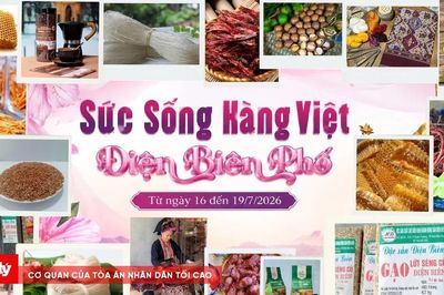 Điện Biên đem hương sắc Tây Bắc đến Hà Nội qua 'Điện Biên phố'